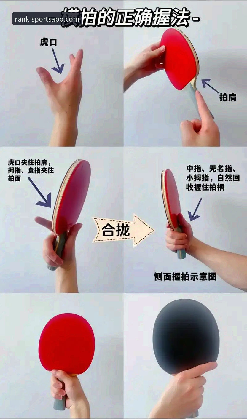 最新体育应用排行2025 2025体育应用排行挑选使用教程:十大热门平台深度解析